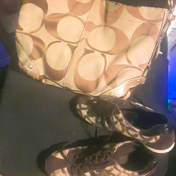 Coach - Picture 1 of 1